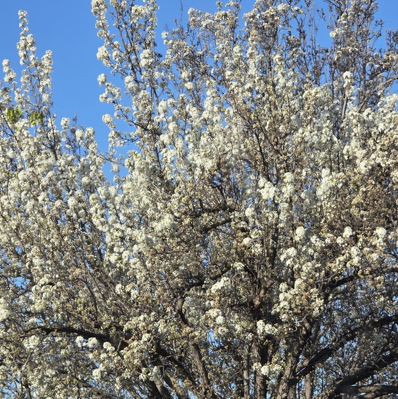 Meet your Posher, Erin - Picture 1 of 1